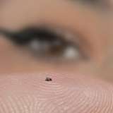 gtsliz from onlyfans